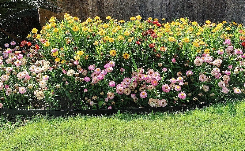 garden-edging-02